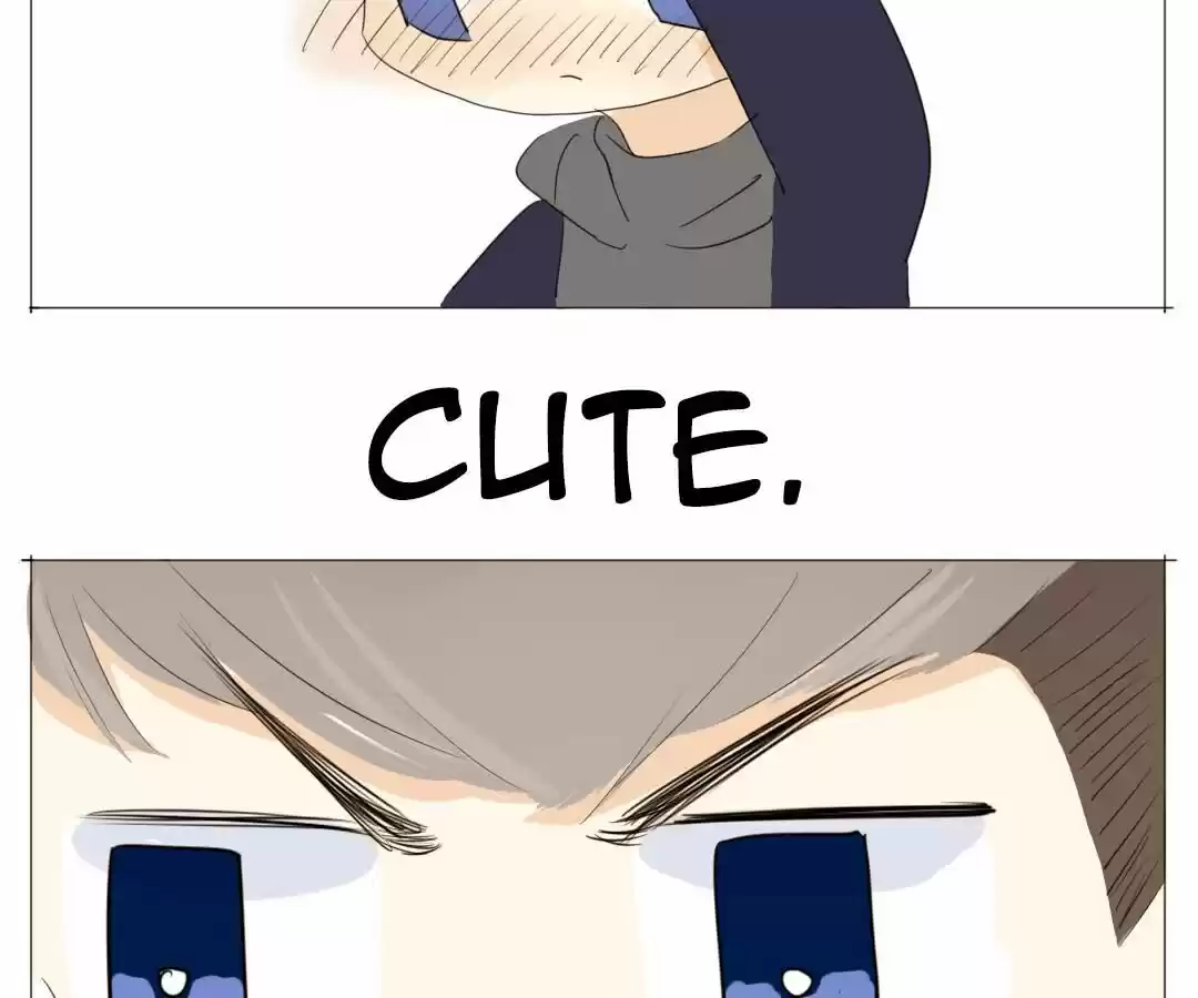 Men’S Wear Store And “Her Royal Highness” Chapter 12