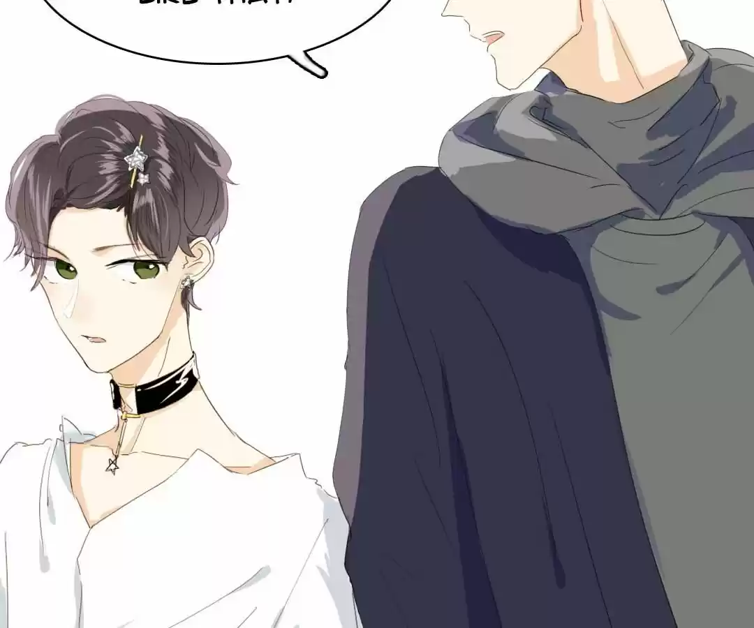 Men’S Wear Store And “Her Royal Highness” Chapter 12