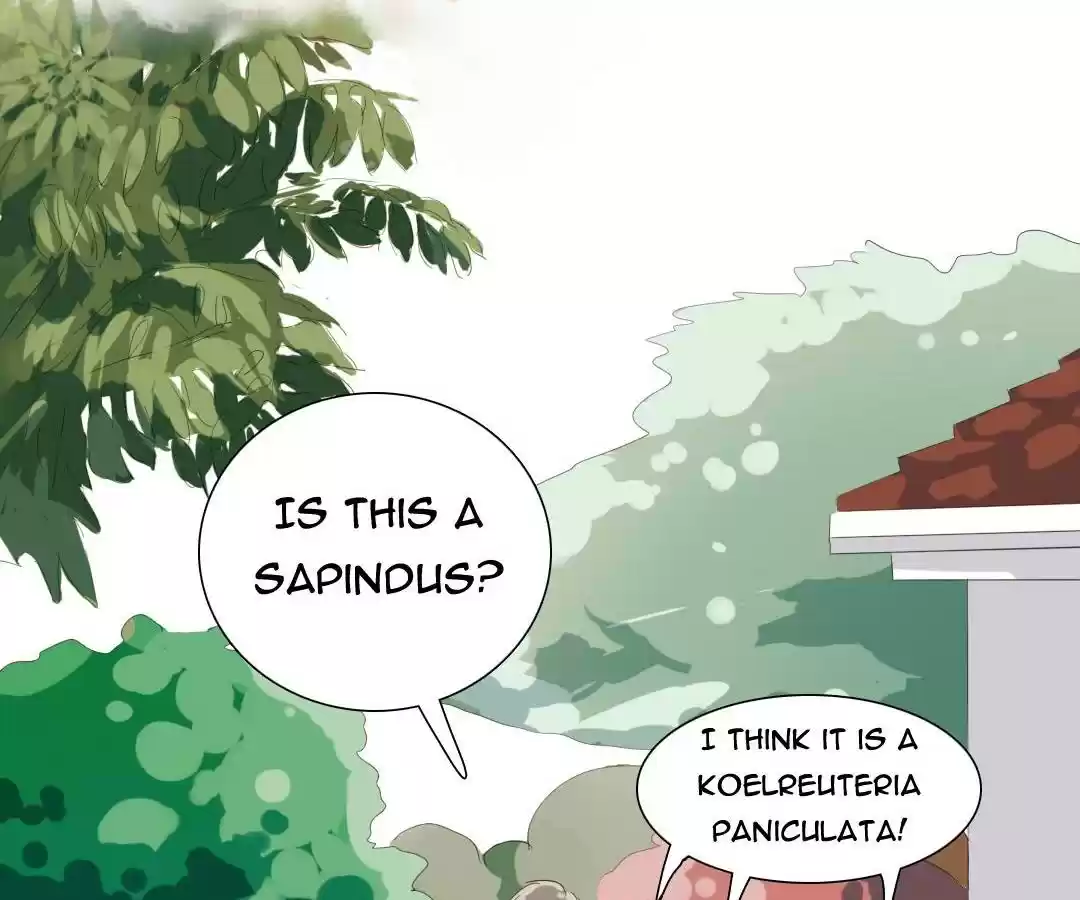 Men’S Wear Store And “Her Royal Highness” Chapter 19