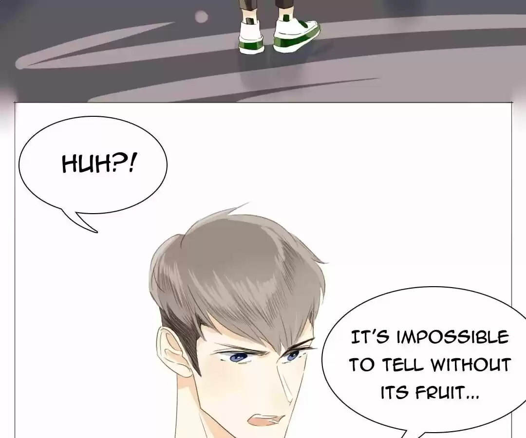 Men’S Wear Store And “Her Royal Highness” Chapter 19