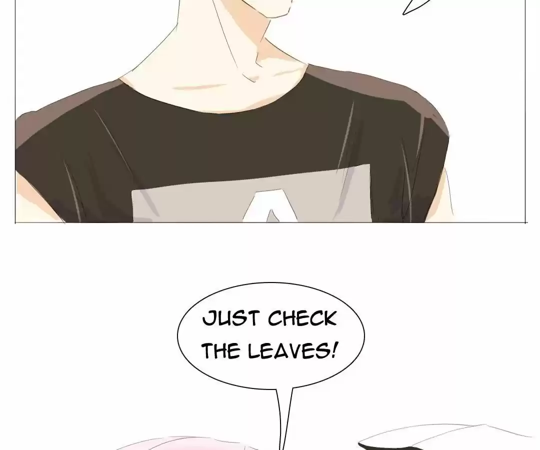 Men’S Wear Store And “Her Royal Highness” Chapter 19