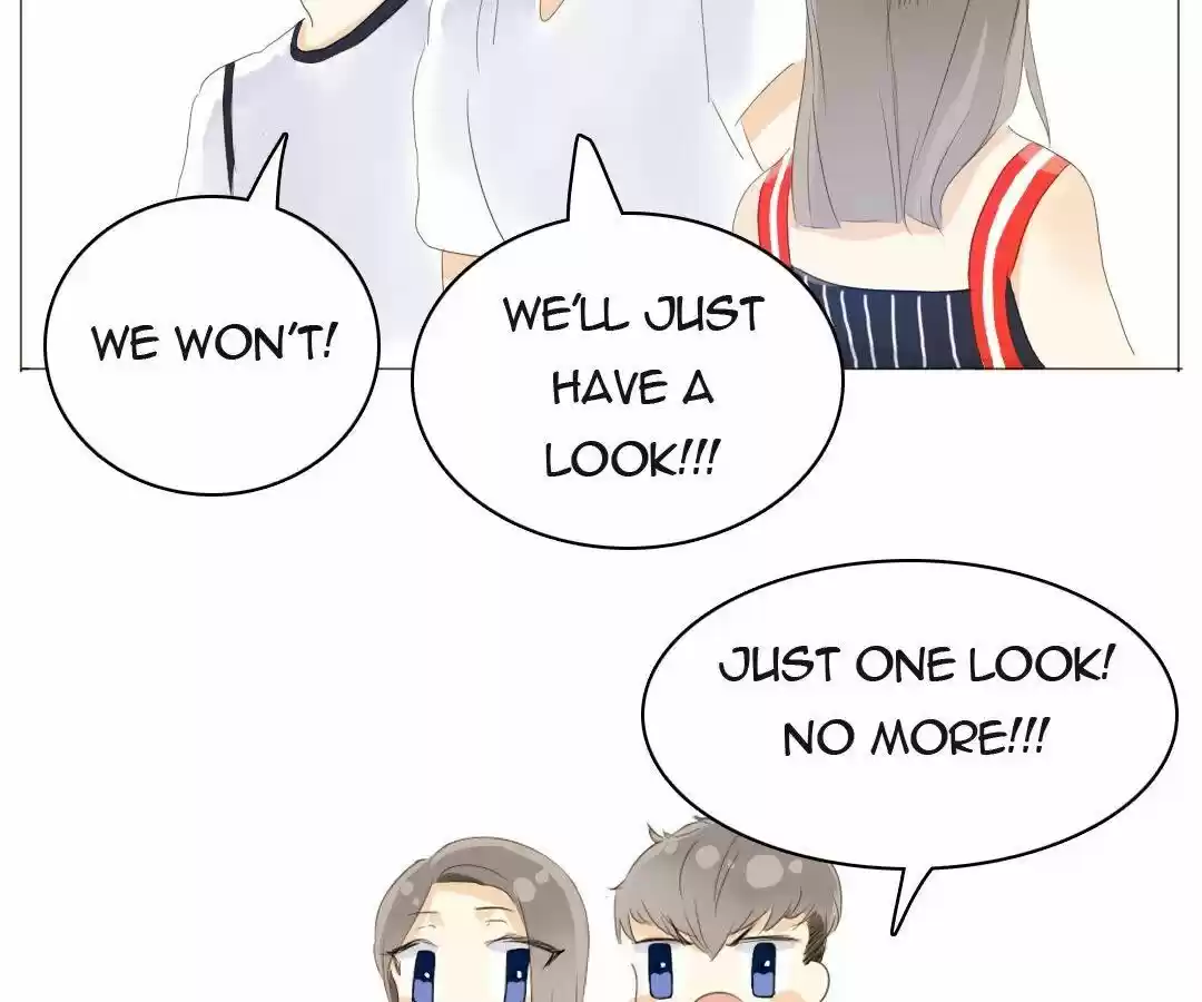 Men’S Wear Store And “Her Royal Highness” Chapter 31