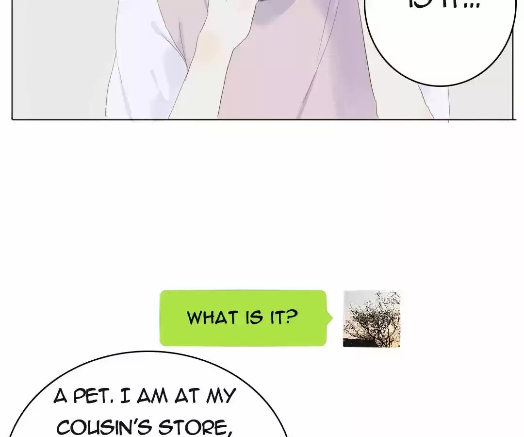 Men’S Wear Store And “Her Royal Highness” Chapter 36