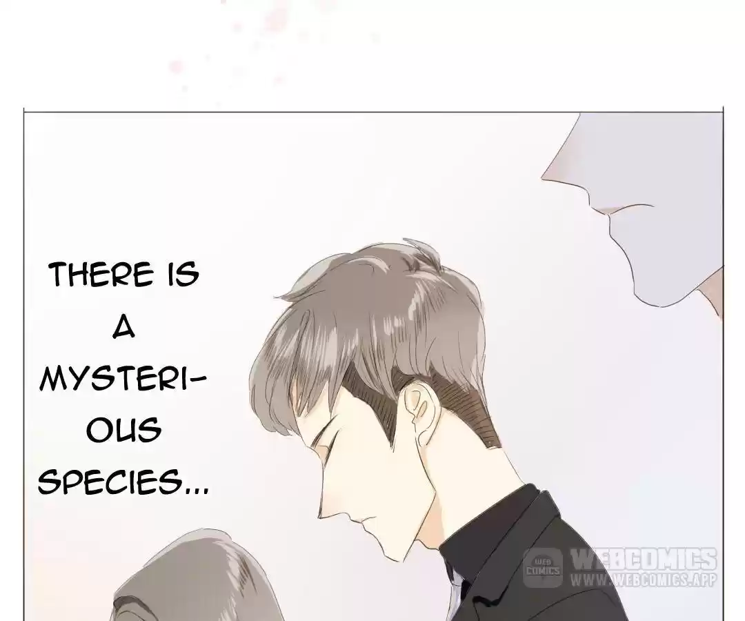 Men’S Wear Store And “Her Royal Highness” Chapter 6