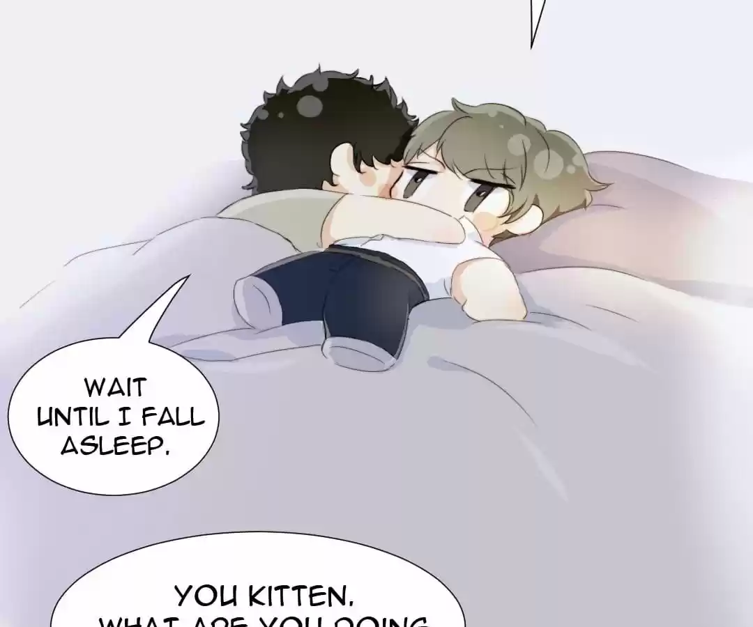 Men’S Wear Store And “Her Royal Highness” Chapter 84