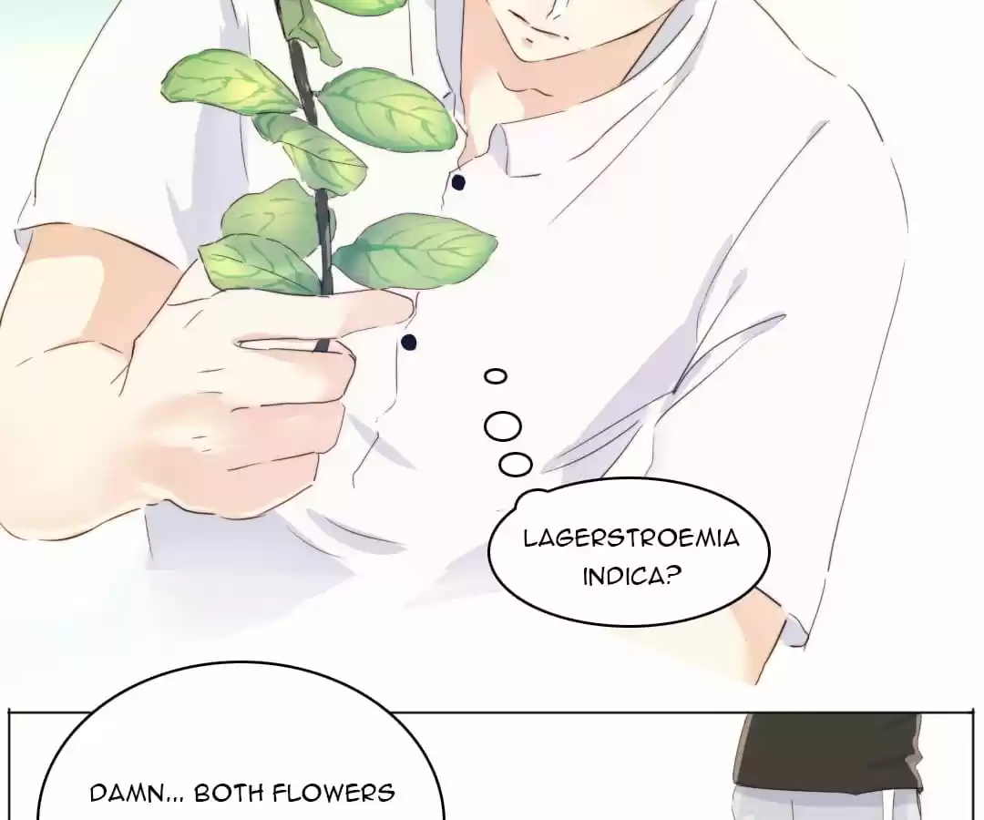 Men’S Wear Store And “Her Royal Highness” Chapter 91