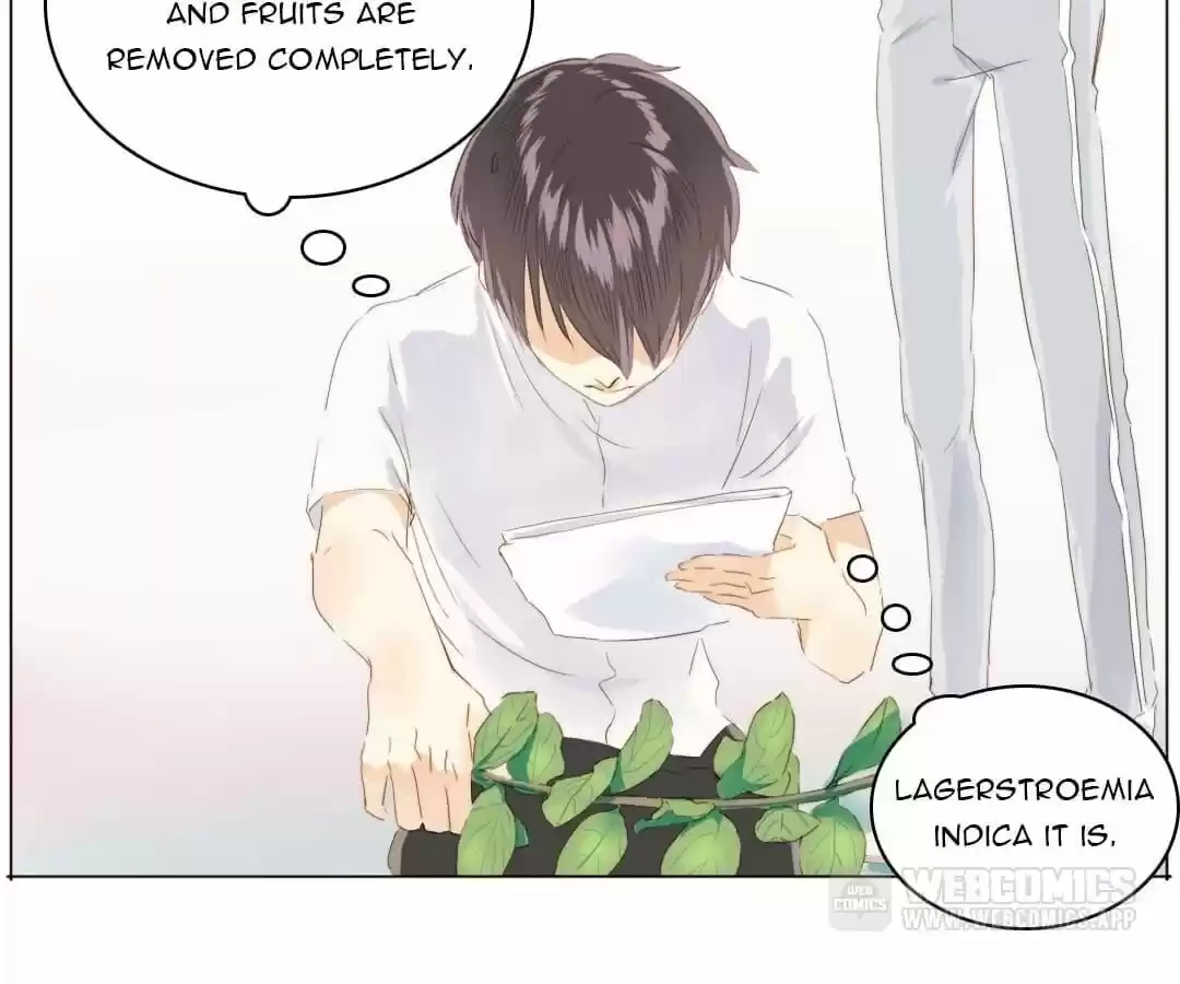 Men’S Wear Store And “Her Royal Highness” Chapter 91