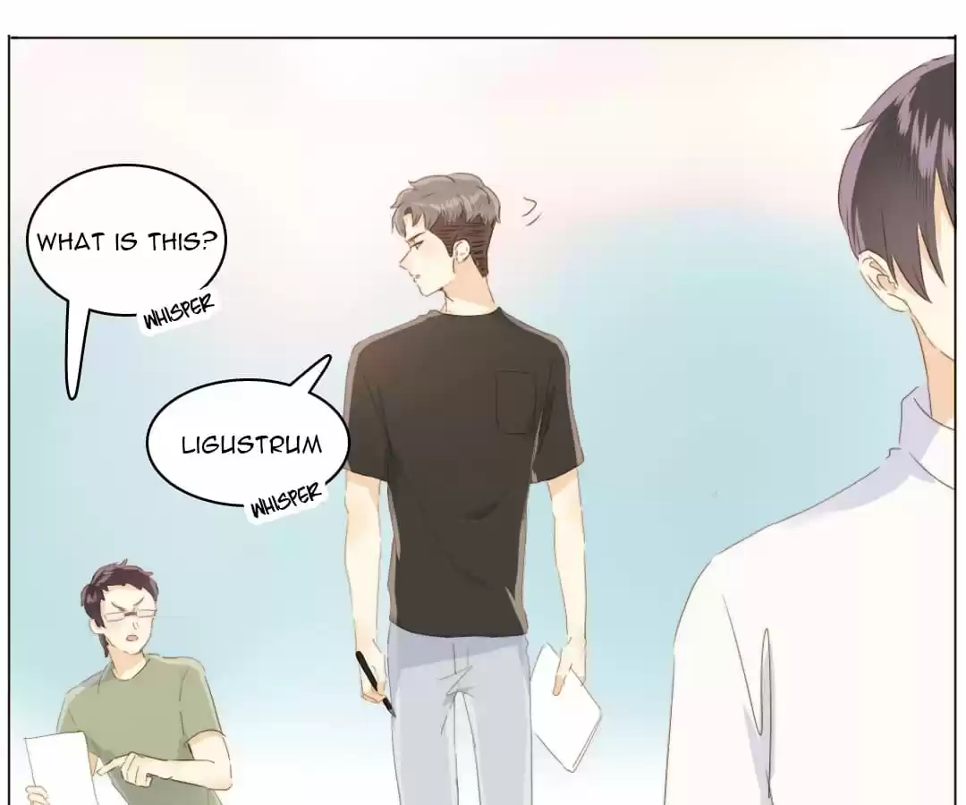 Men’S Wear Store And “Her Royal Highness” Chapter 91