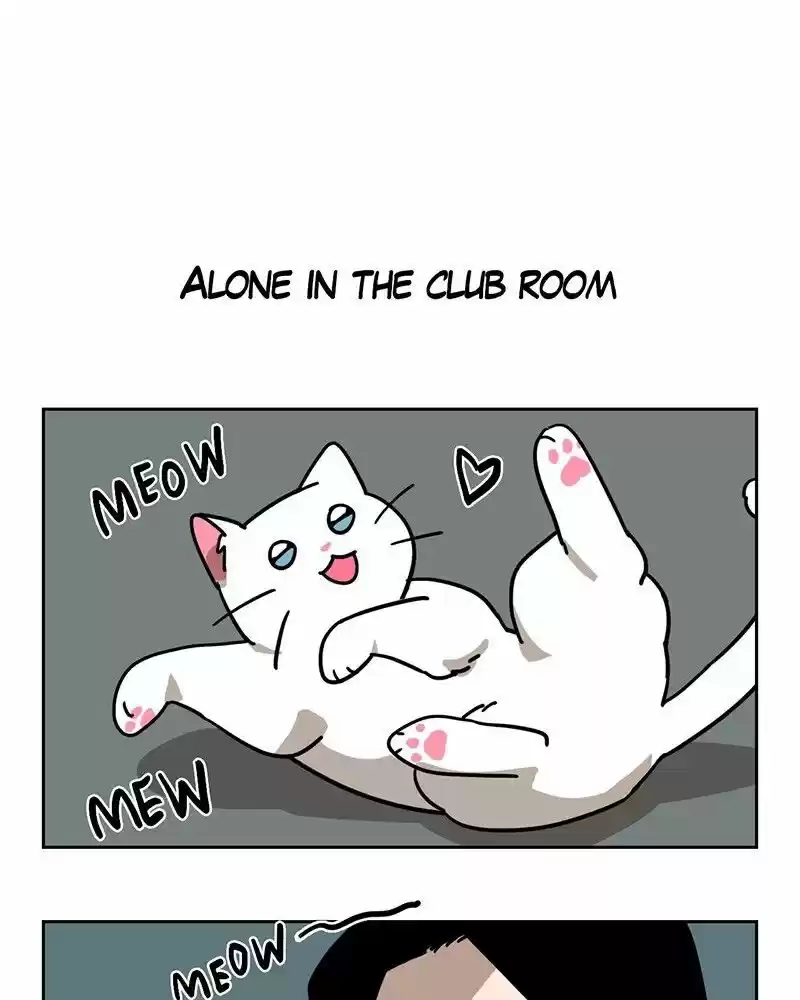Meow Man ch.014