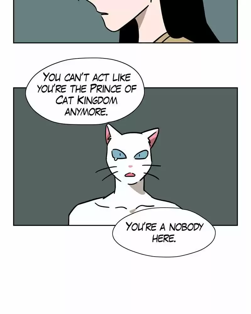 Meow Man ch.014