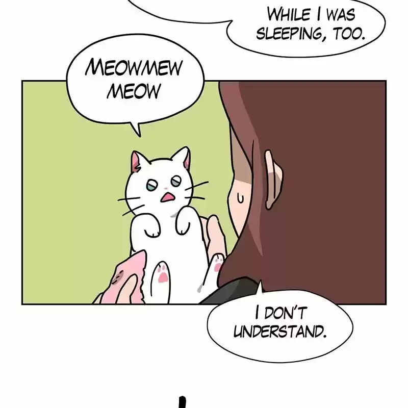 Meow Man ch.025