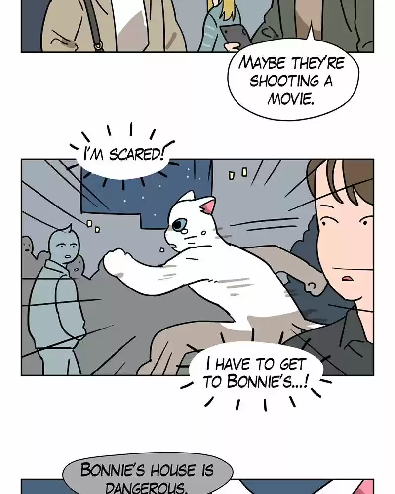 Meow Man ch.058