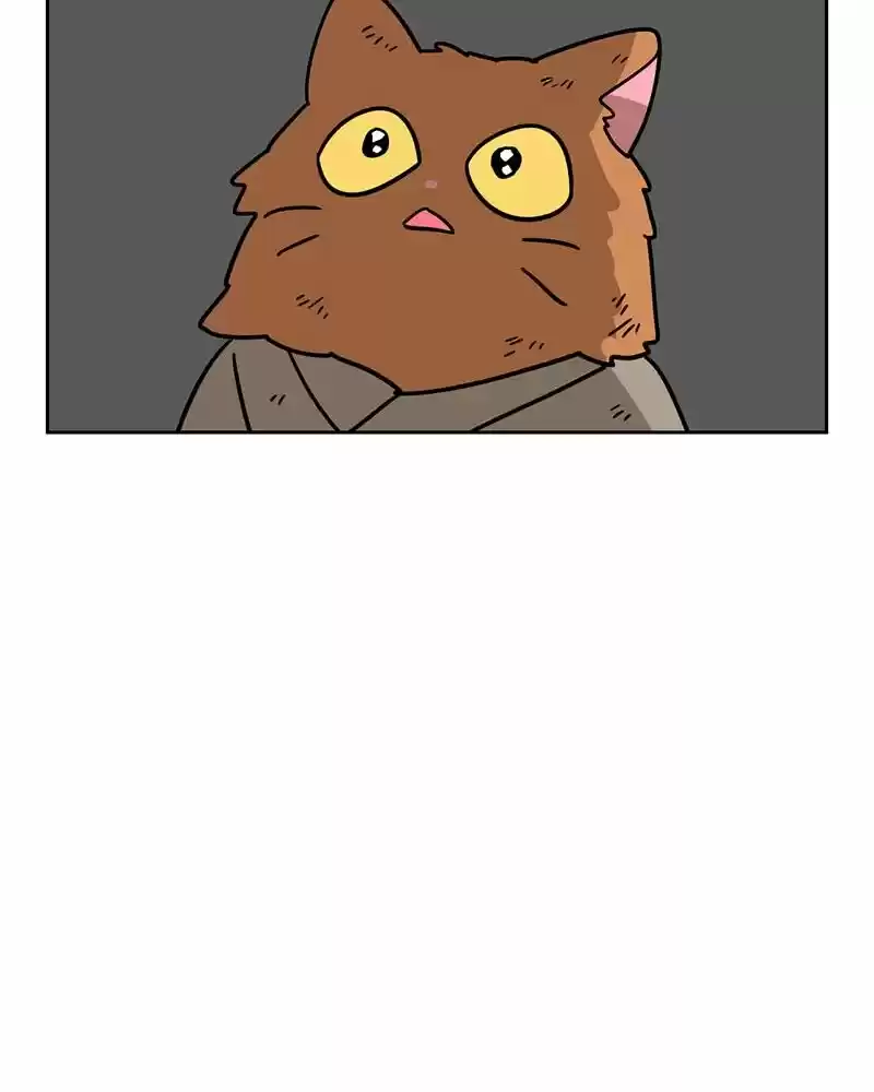 Meow Man ch.109