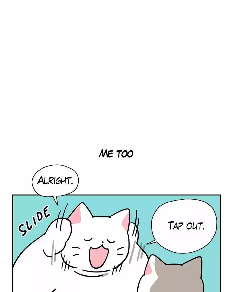 Meow Man ch.116