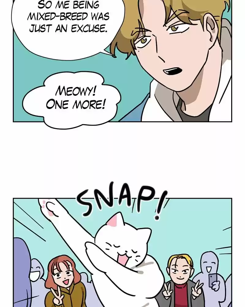 Meow Man ch.117