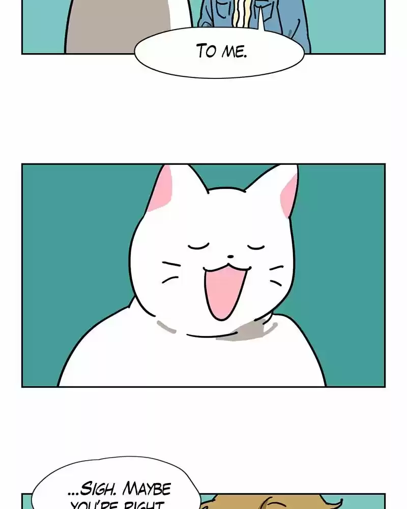 Meow Man ch.117