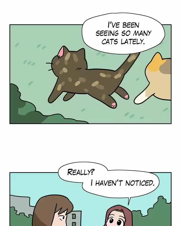 Meow Man Ch.134