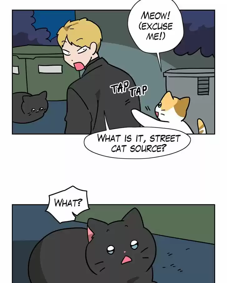 Meow Man Ch.138