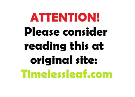 Miao Shou Xian Dan Ch. 28