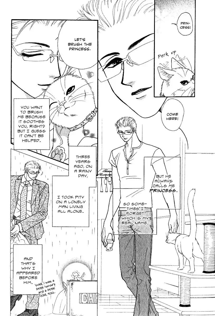 Midnight Secretary Vol. 6 Ch. 30.5