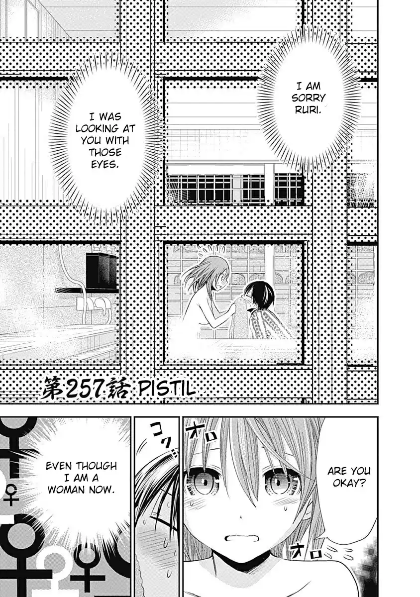 Minamoto kun Monogatari Ch. 257 Pistil