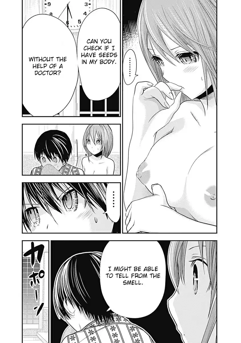 Minamoto kun Monogatari Ch. 257 Pistil