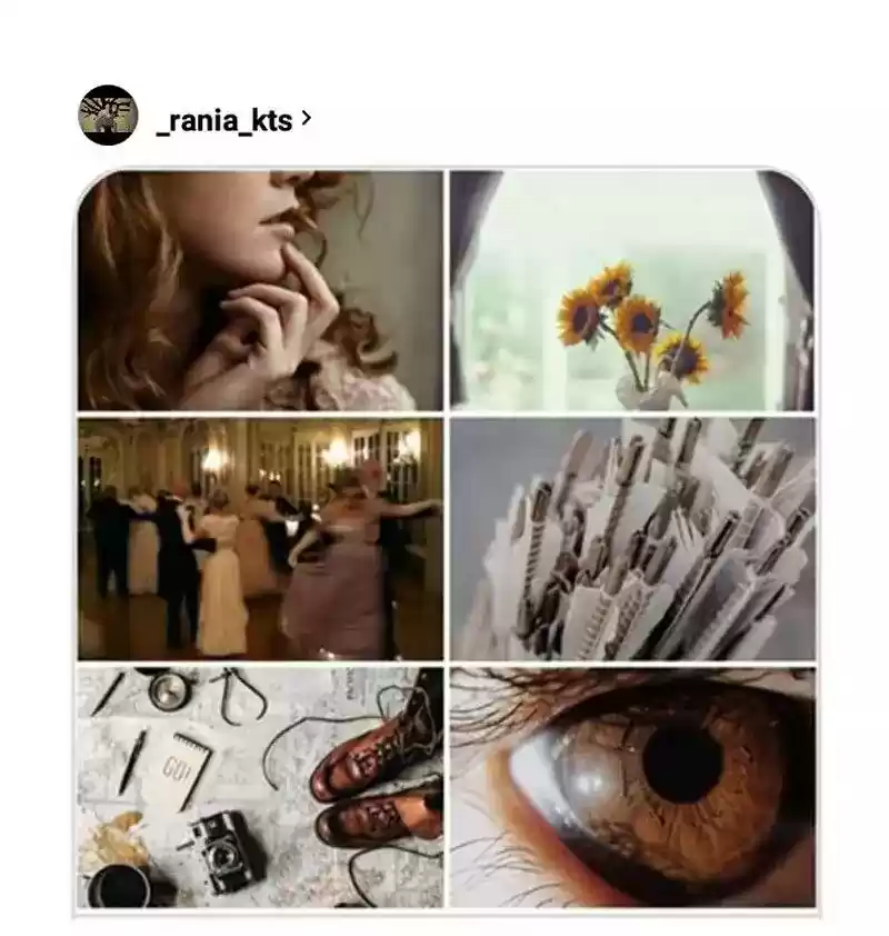 Miss Abbott and the Doctor Chapter 94