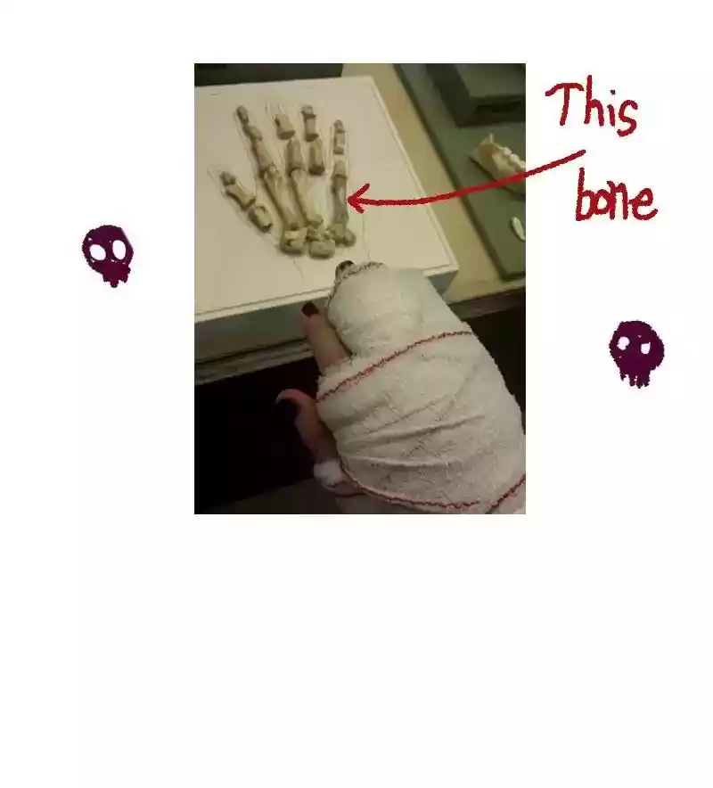 Miss Abbott and the Doctor Chapter 95: