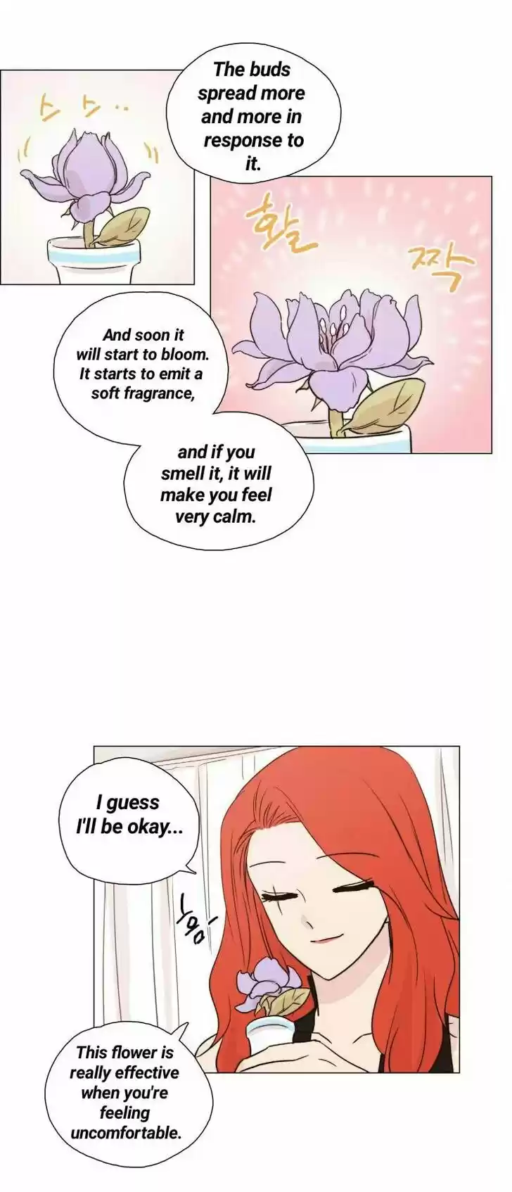 Miss Angel and Miss Devil 51