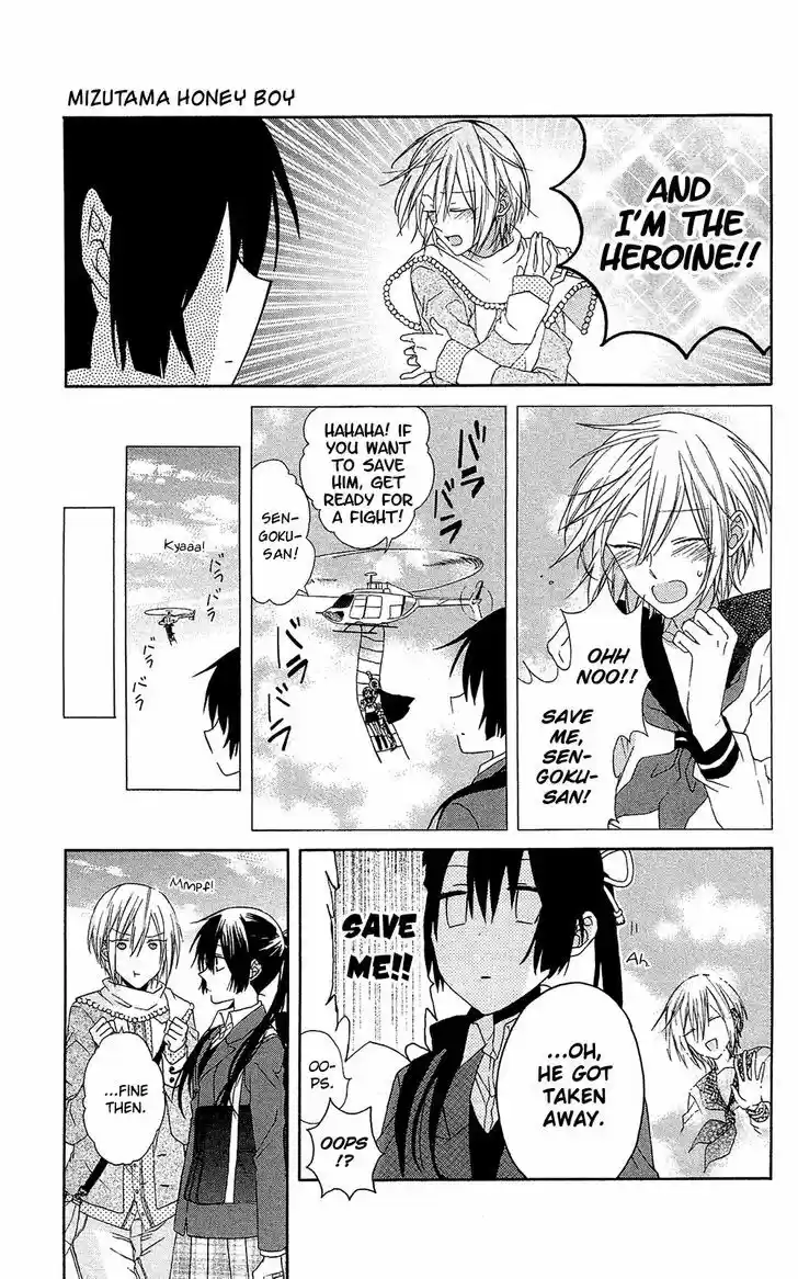 Mizutama Honey Boy 7.5