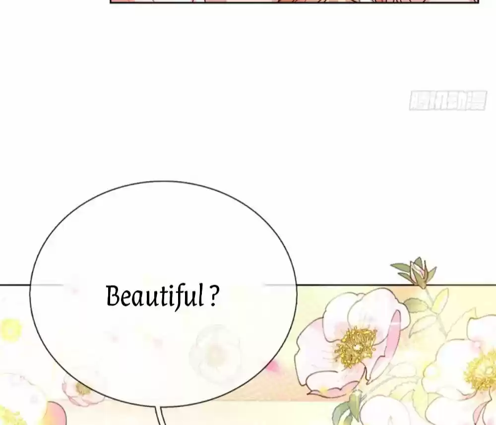 Mommy Run Away: Daddy Is Chasing After You Chapter 143