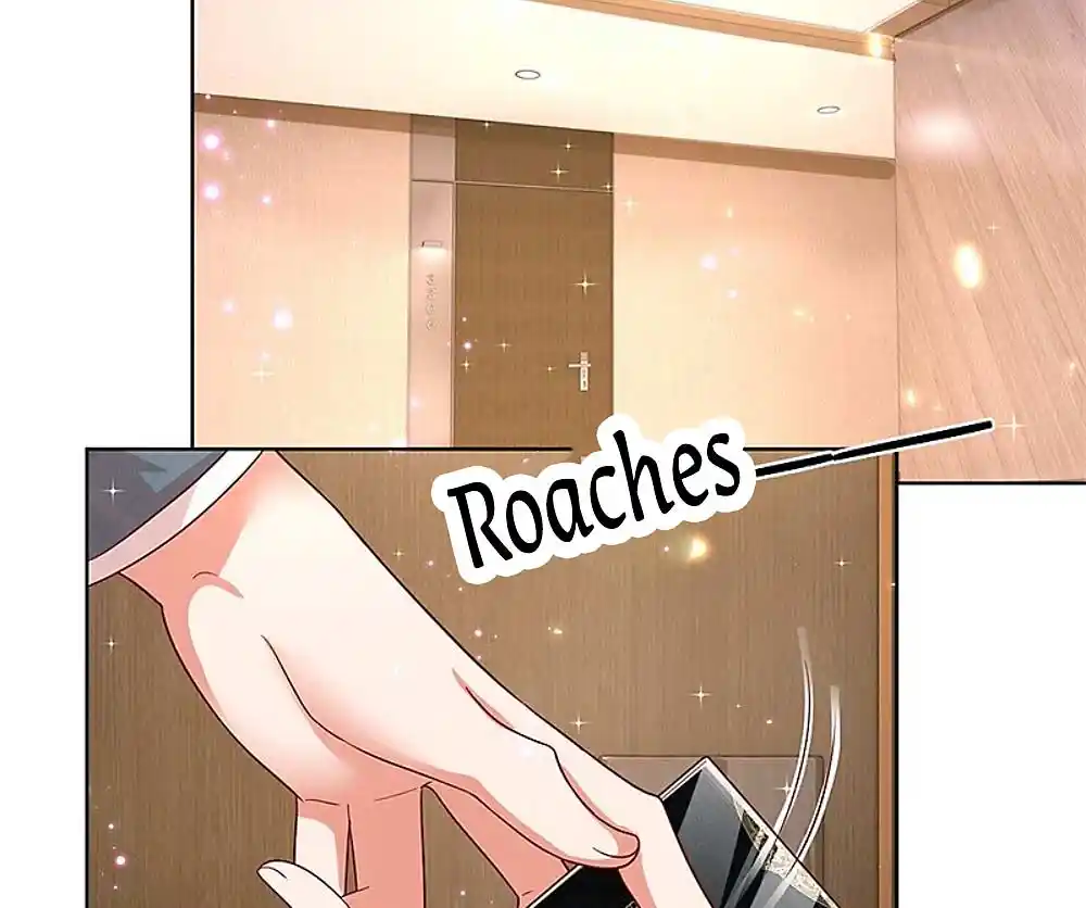 Mommy Run Away: Daddy Is Chasing After You Chapter 208