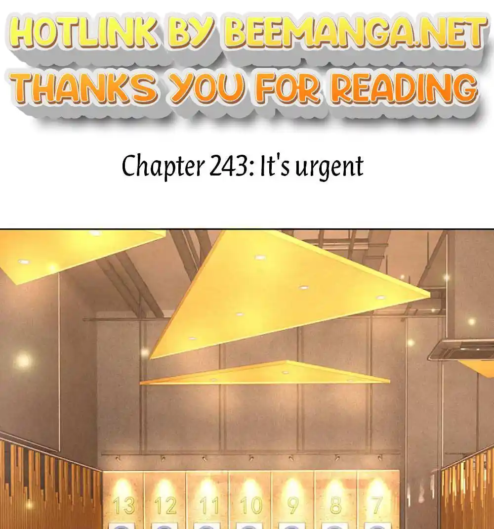 Mommy Run Away: Daddy Is Chasing After You Chapter 243