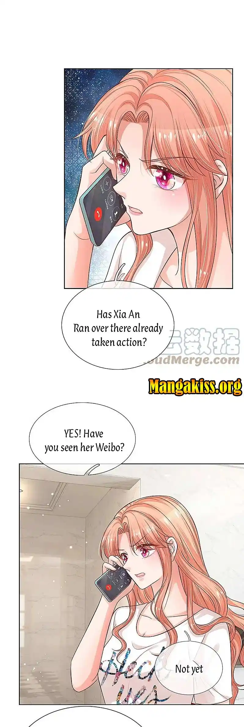 Mommy Run Away: Daddy Is Chasing After You Chapter 310