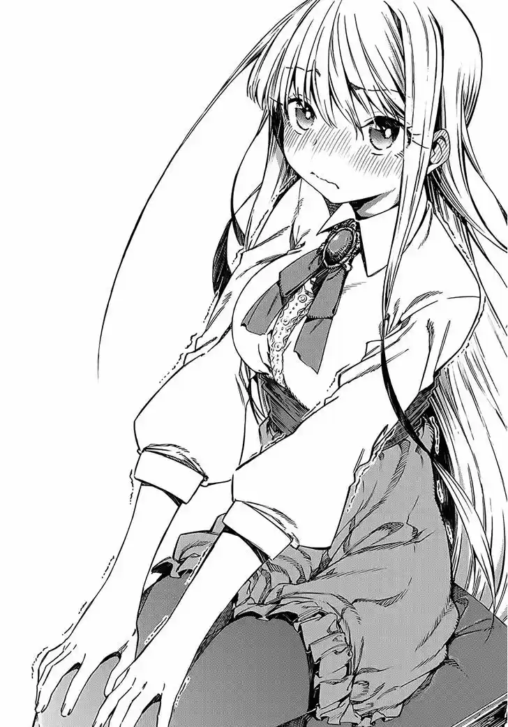 Monku no Tsukeyou ga Nai Rabukome 14