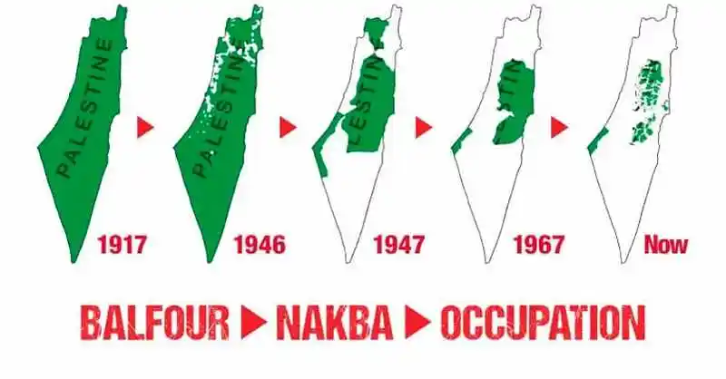 Monster Pet Evolution Chapter 263