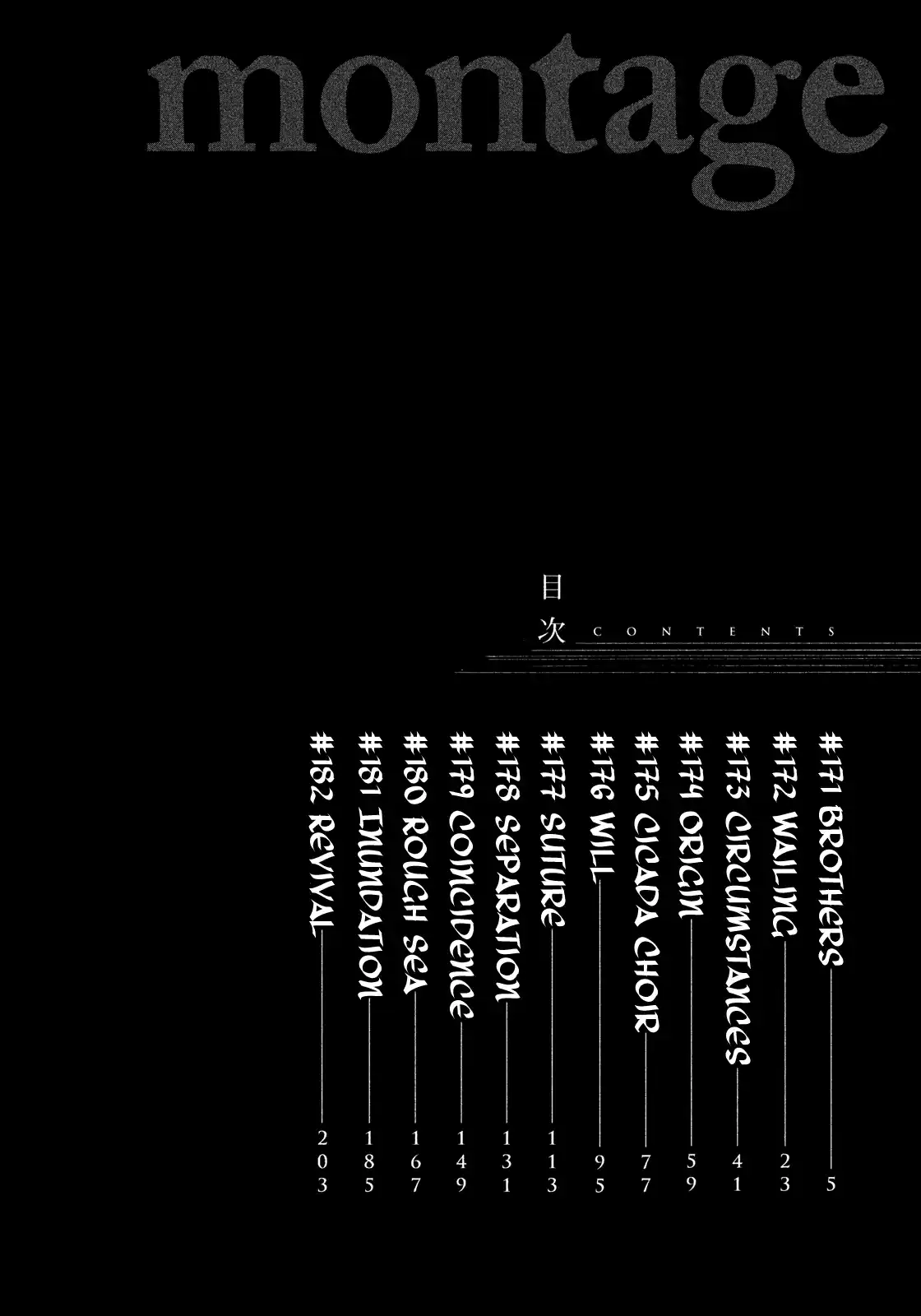 Montage (Watanabe Jun) Vol.18 Chapter 171