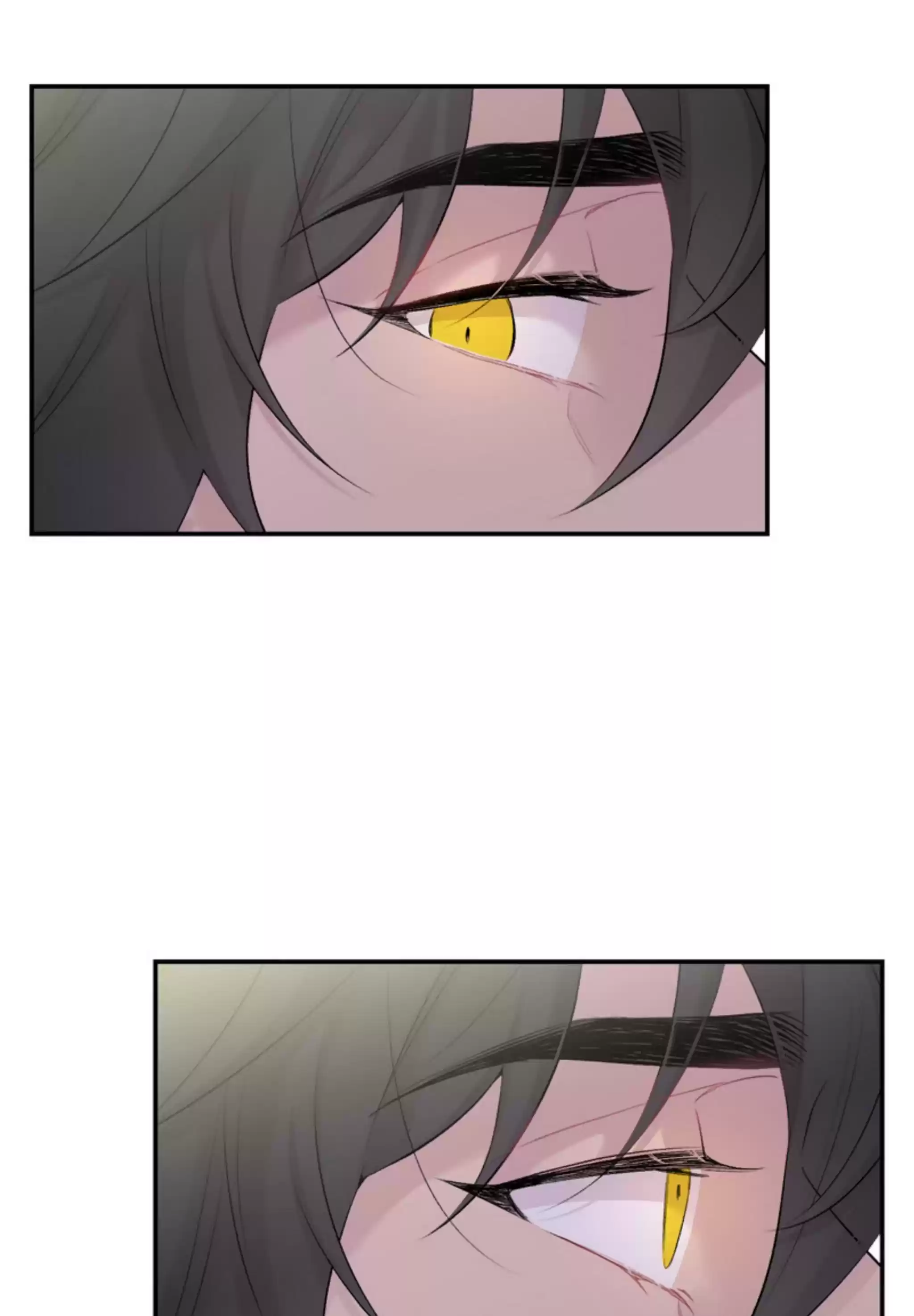 Moonlight Howling Chapter 16