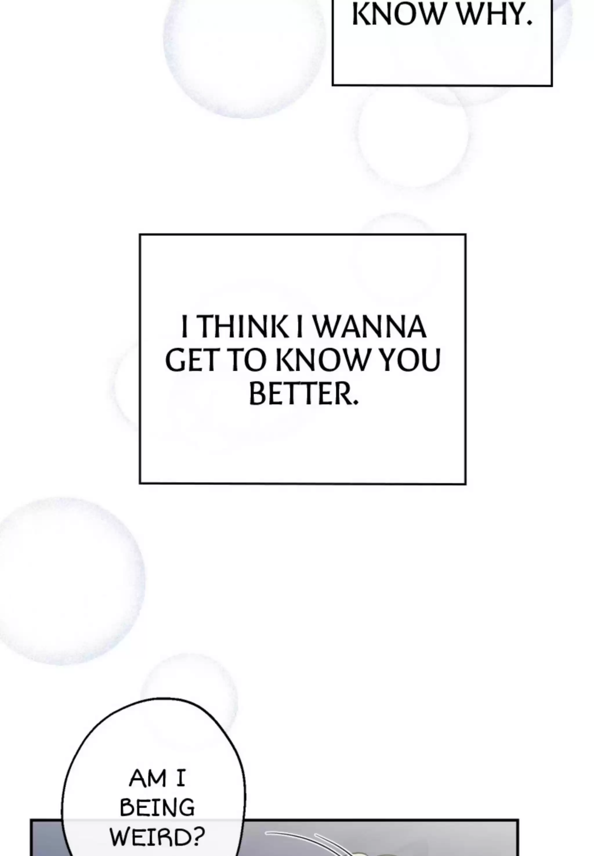 Moonlight Howling Chapter 16