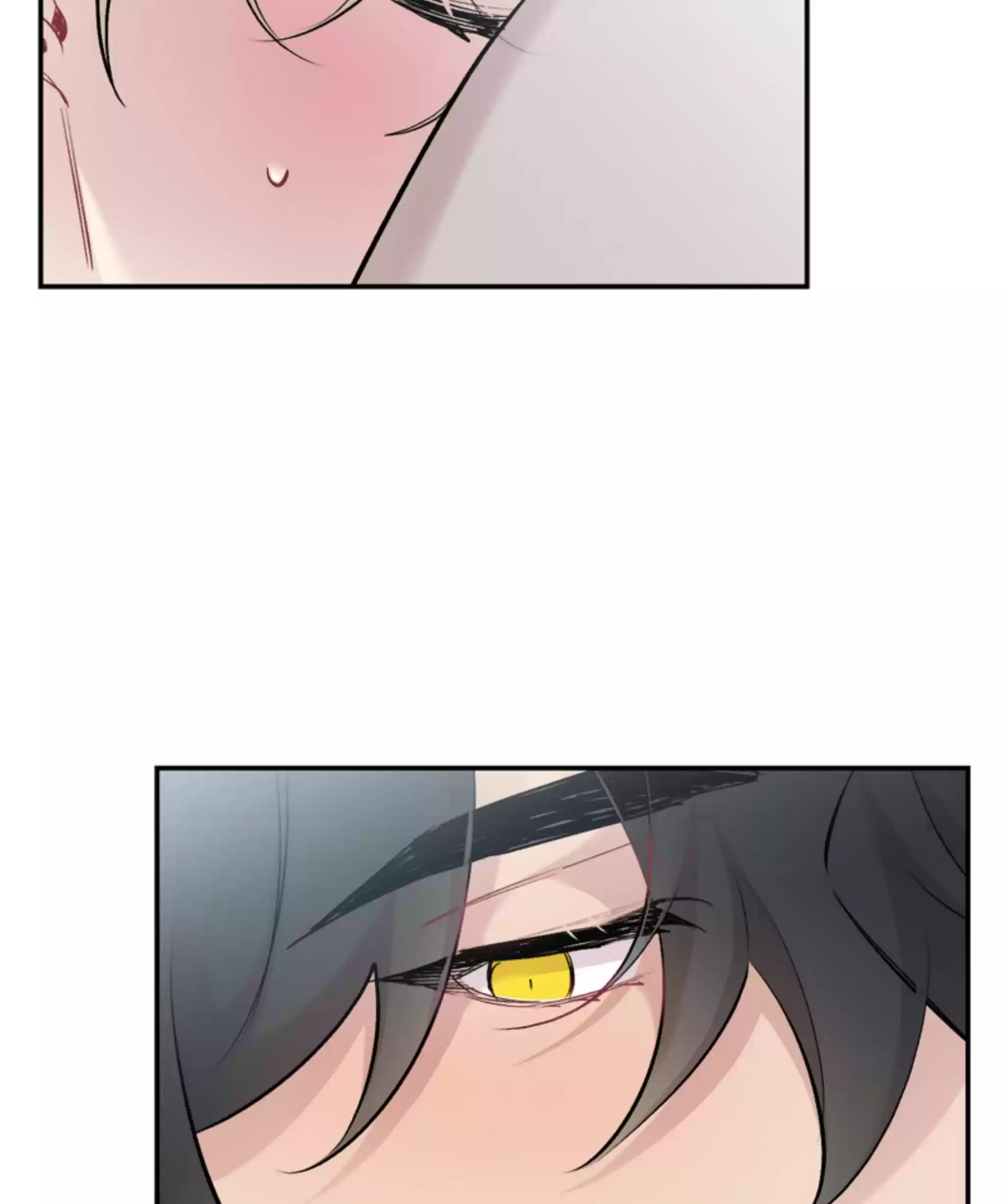 Moonlight Howling Chapter 25