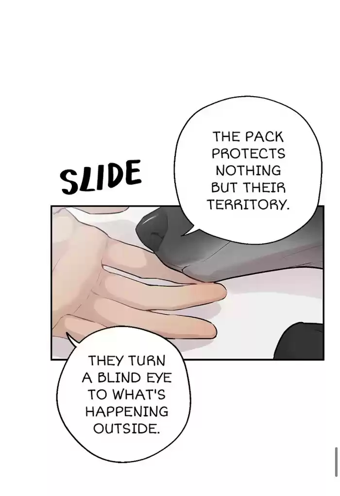 Moonlight Howling Chapter 36