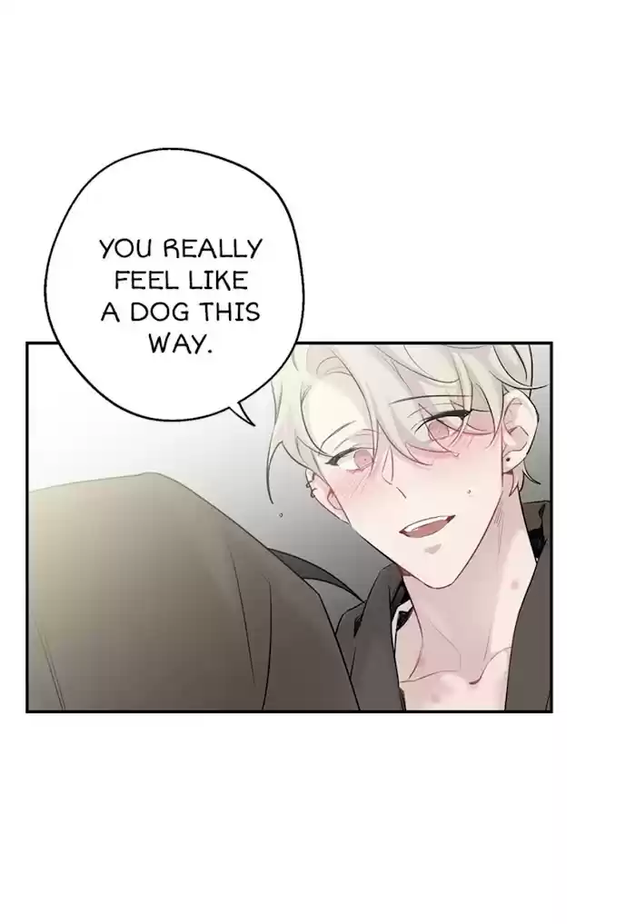 Moonlight Howling Chapter 38