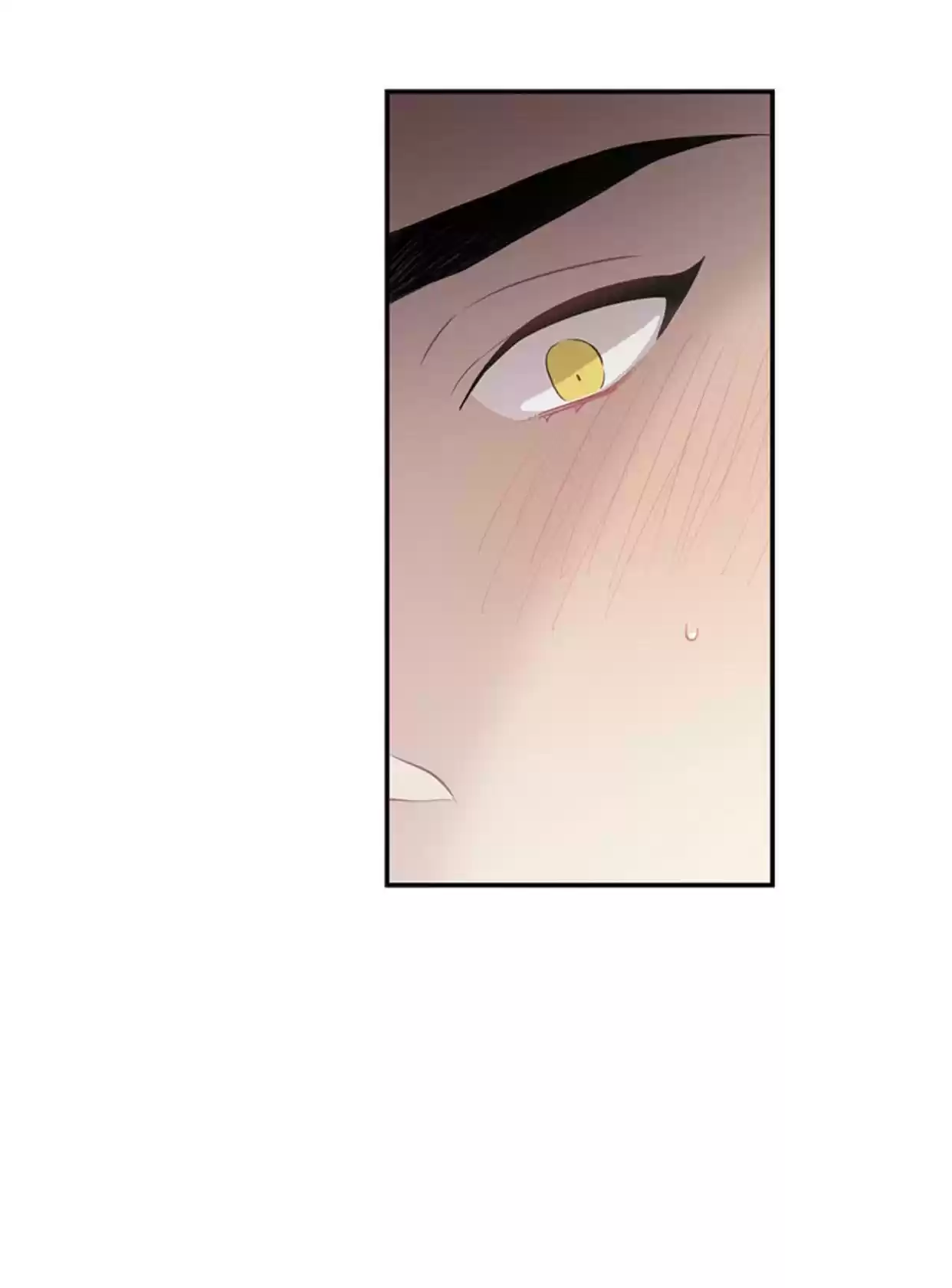 Moonlight Howling Chapter 43