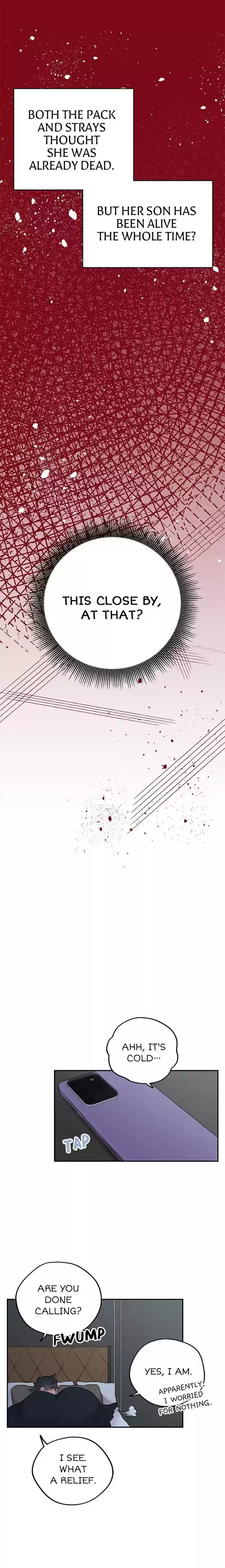 Moonlight Howling Chapter 46