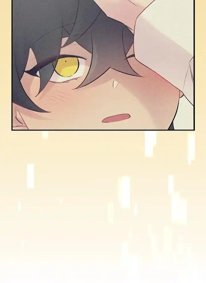 Moonlight Howling Chapter 56