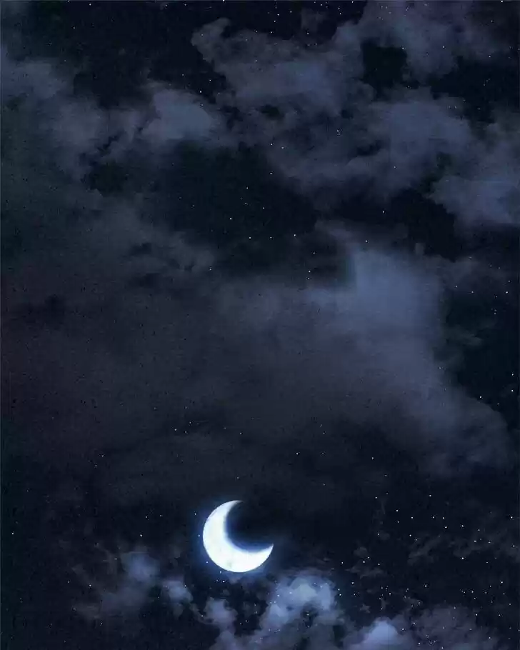 Moshin Hunter Ch.017