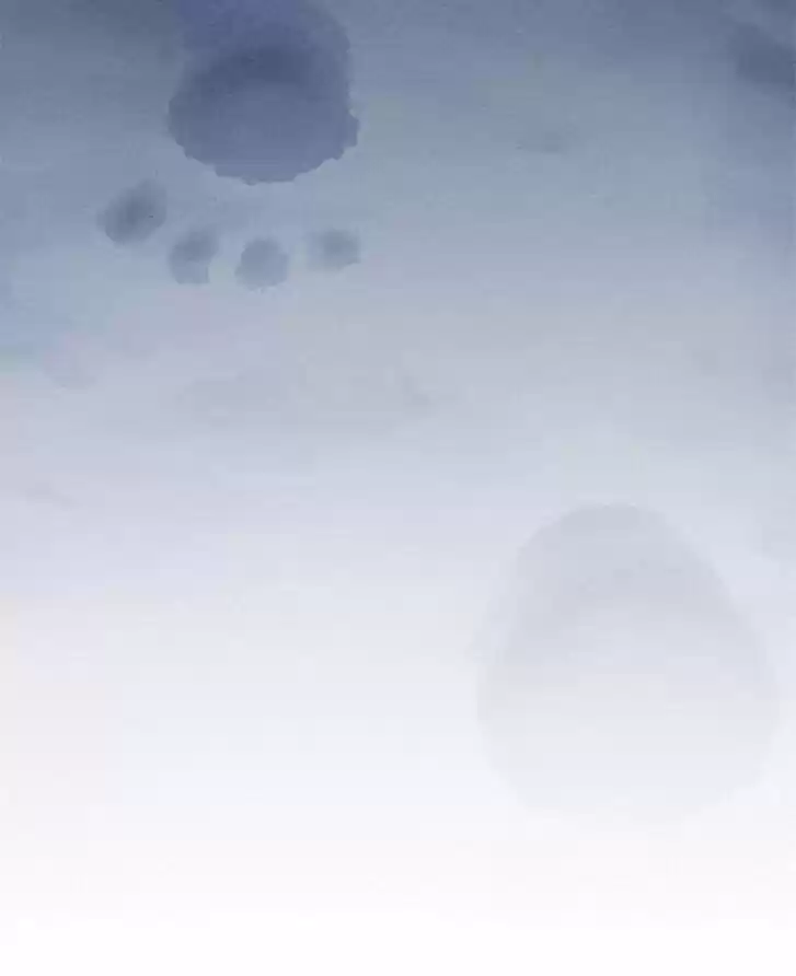 Moshin Hunter Ch.036