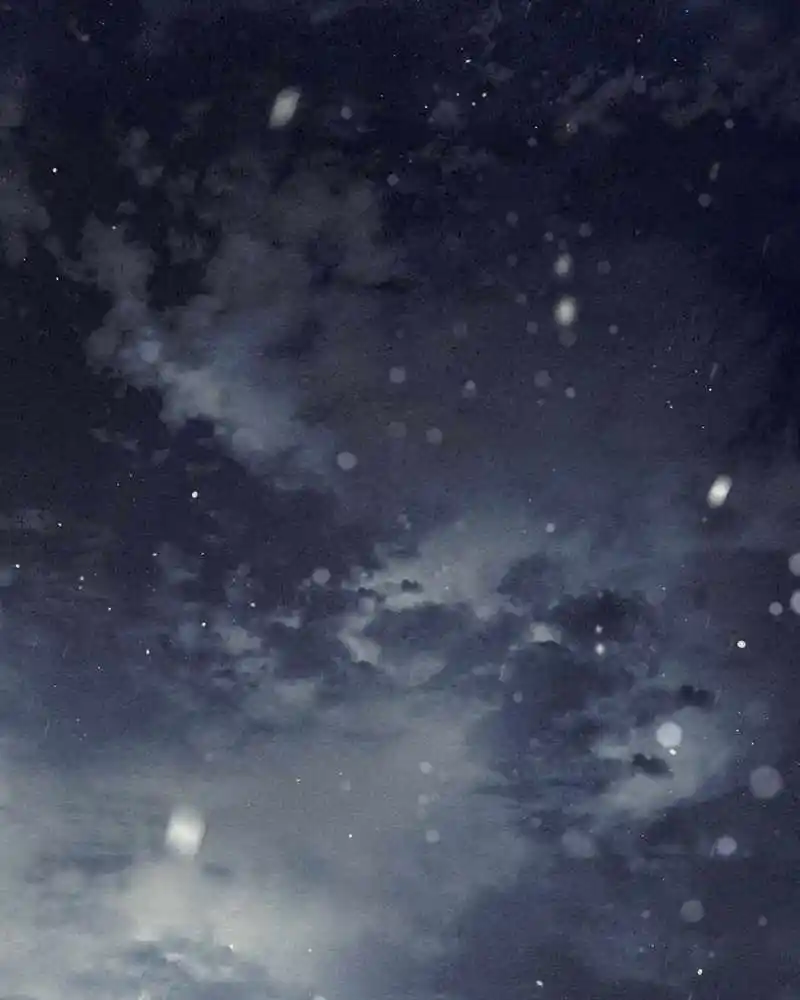 Moshin Hunter Chapter 42