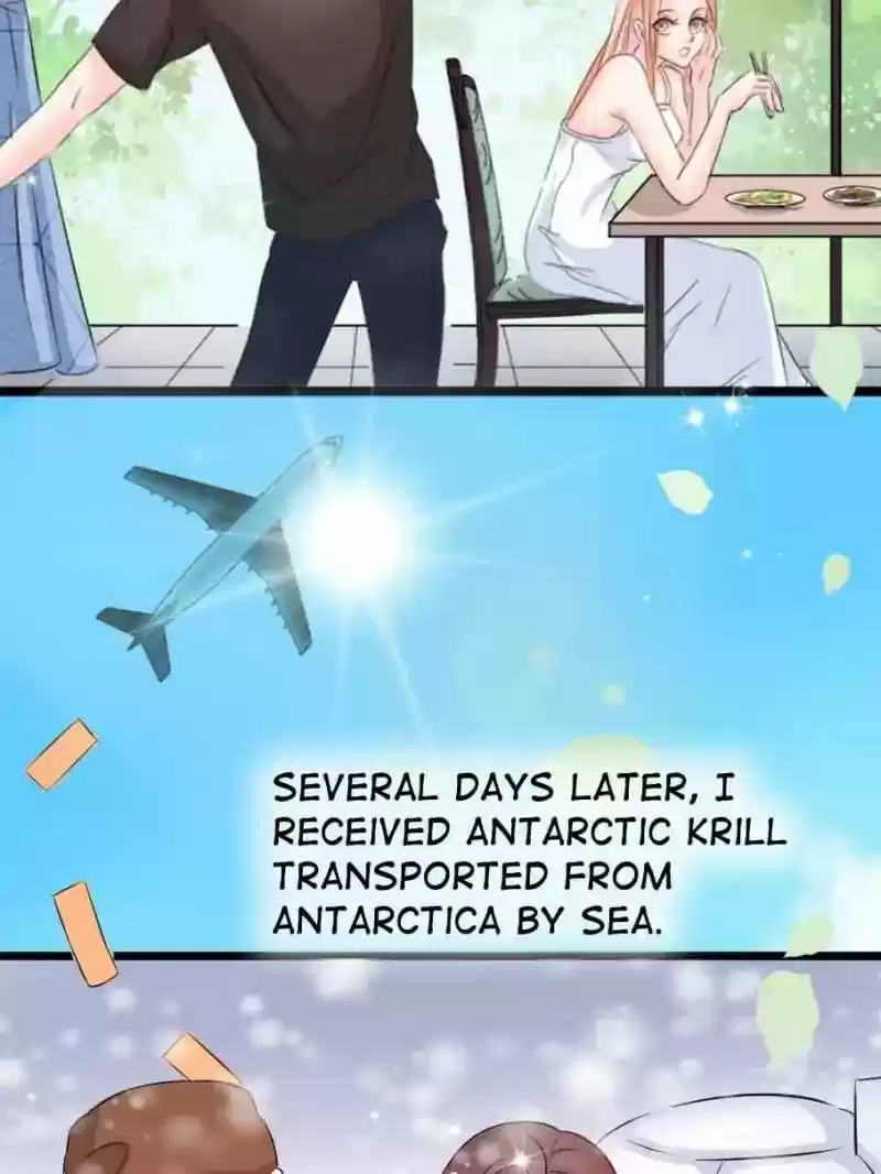 Mr. Zhou, Forced Marriage Is Illegal! Chapter 2