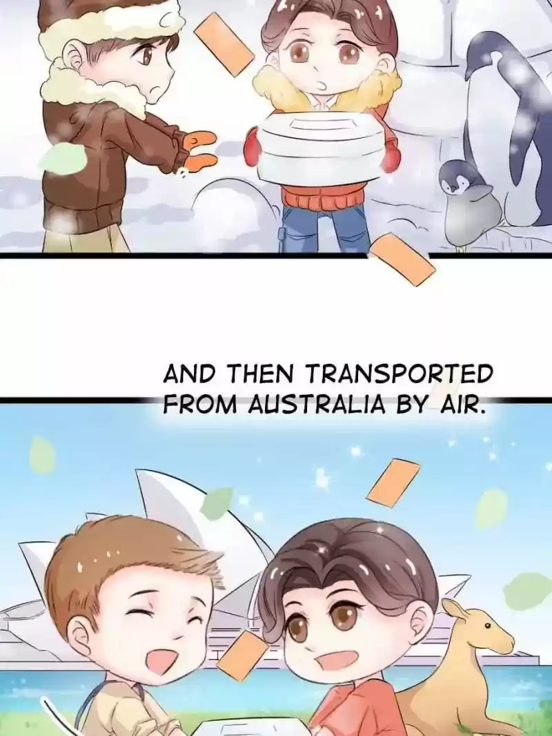 Mr. Zhou, Forced Marriage Is Illegal! Chapter 2